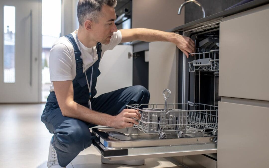 Dishwasher Basics: 5 Essential Cleaning & Maintenance 